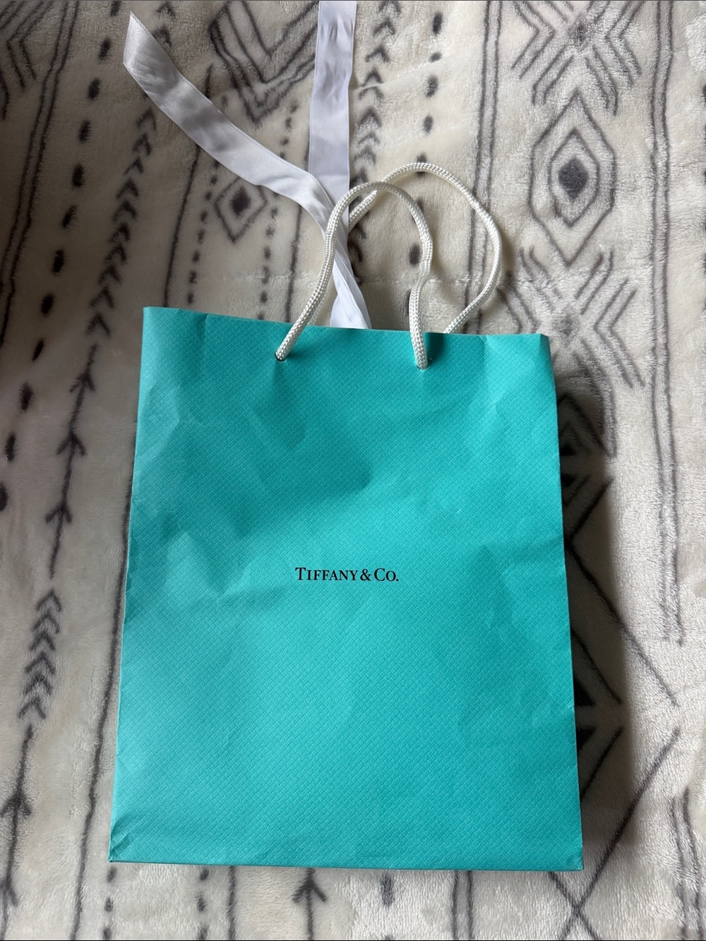 Tiffany & Co. Small Tote in Signature Blue-Green with White Cord Handles